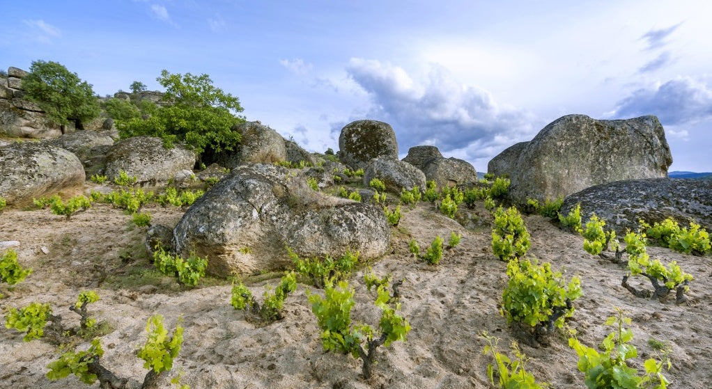 Geology Rocks! Wines From Granite