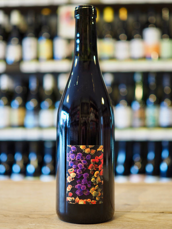 Boulanger & Allante Les Pierres Dorées Gamay