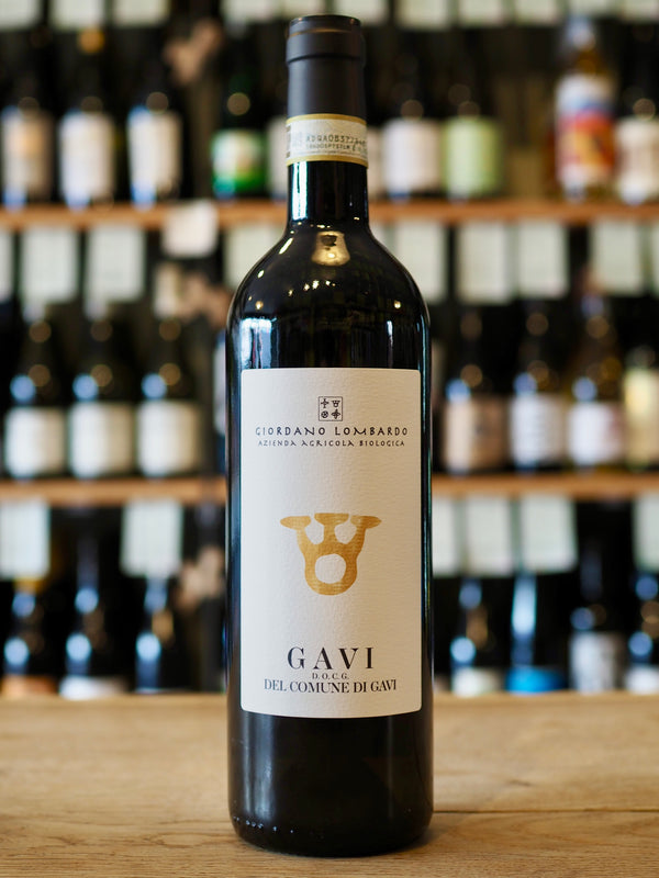 Giordano Lombardo Gavi del Comune di Gavi San Martino