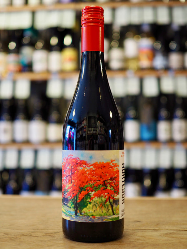 Dominio de Punctum Nortesur Cabernet Sauvignon